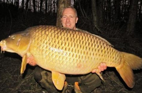 男子野外捕到一条大鱼,无人知晓是什么大鱼,知