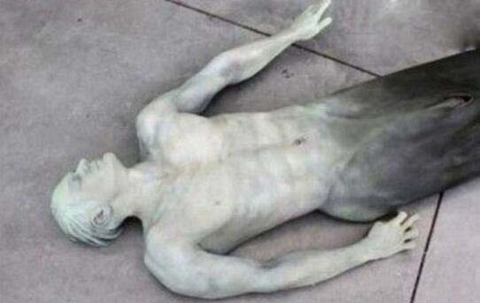 美人鱼传说,感动无数人的童话故事(海的女儿)