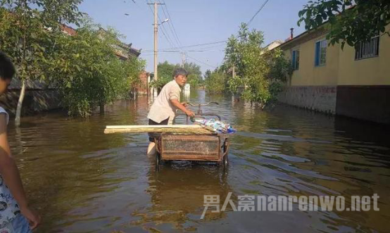 造谣寿光瘟疫被抓 传播消息需要谨慎核实事情