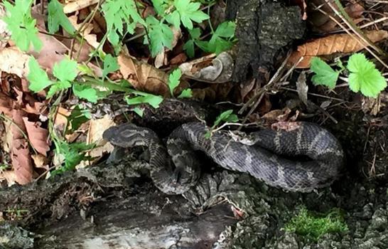 东北竟然有这么恐怖的景点, 千百年没人敢来