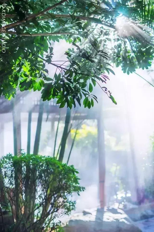 避暑攻略|身处腾冲火山热海凉爽惬意,入泡温泉