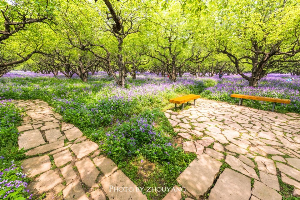 宿迁最穷的地级市,却坐拥全国最好的水网河道