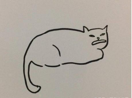 老师布置个任务回家花猫,收上来的作业让人哭笑不得