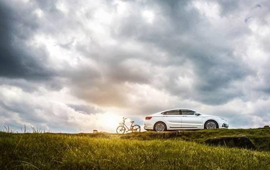 新博瑞，Show Time