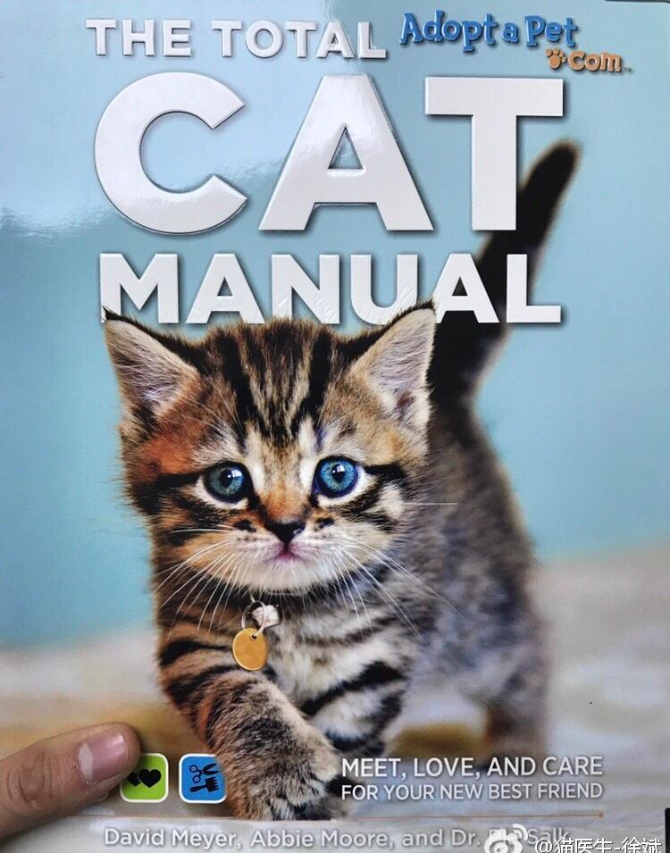 猫咪怀孕生产时间