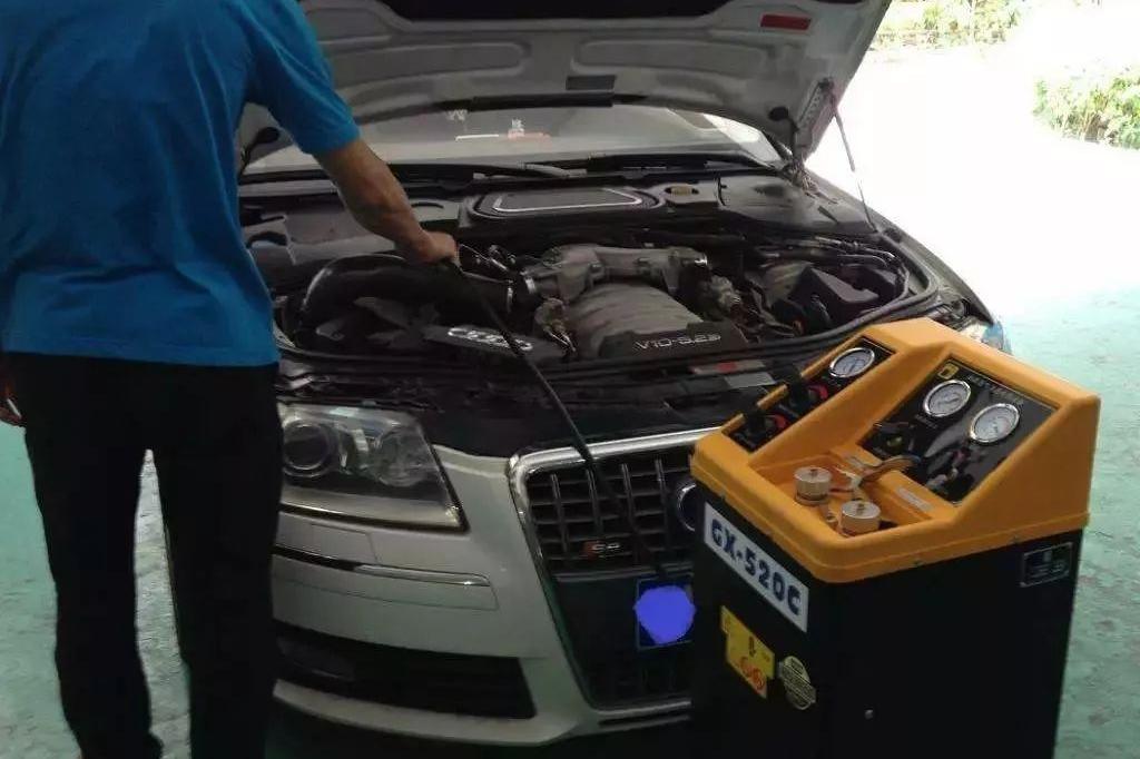 汽车动力为何变弱？这个颜色的车为何会被鸟“攻击”？