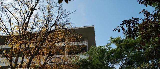 努比亚红魔电竞游戏手机体验:它和普通手机到