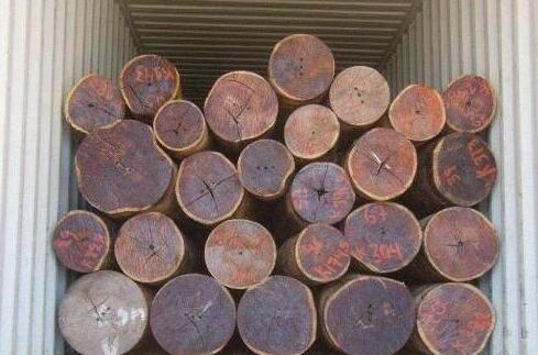 价格不低于刺猬紫檀, 红檀香是什么树种, 它是红