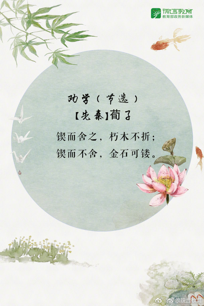 2018年高考倒计时20天![加油]八段励志语录,送