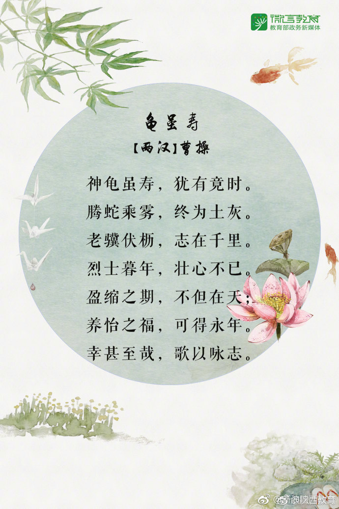 2018年高考倒计时20天![加油]八段励志语录,送