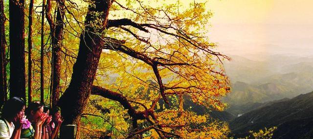浙江省最著名的3座大山
