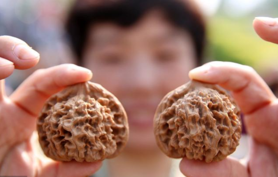 还把核桃壳当垃圾扔掉吗?想不到它还有4大药用价值