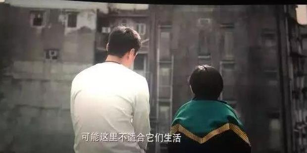 8.8万香港人抢凶宅公屋,你还敢鄙视番禺