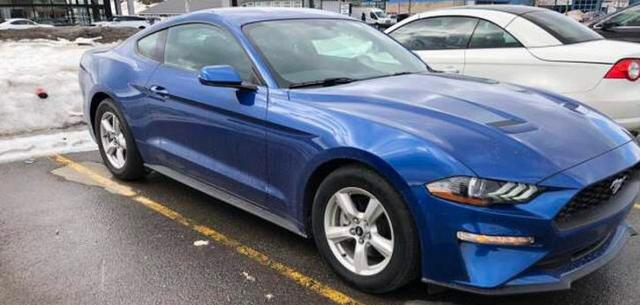 2018款福特野马2.3T加规基本款，更青春更运动