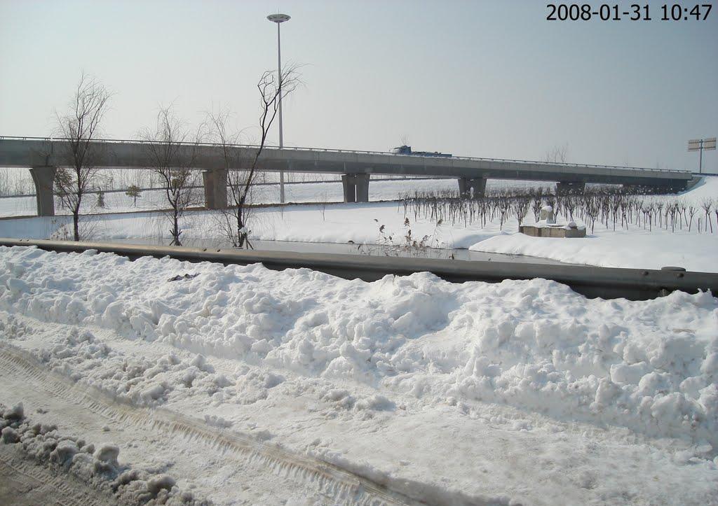 2008年春节大雪灾, 导致半个中国交通瘫痪, 还有多少人记得?
