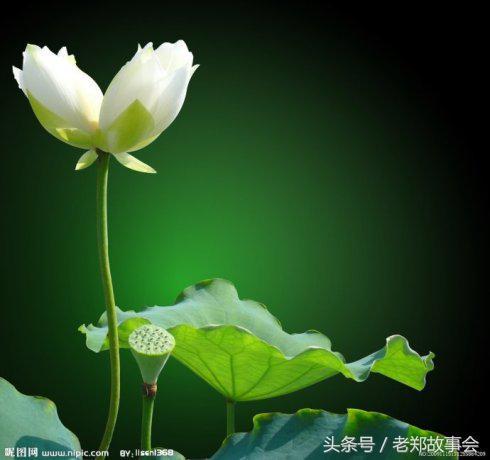 为什么再婚的女人生的孩子长相像前夫