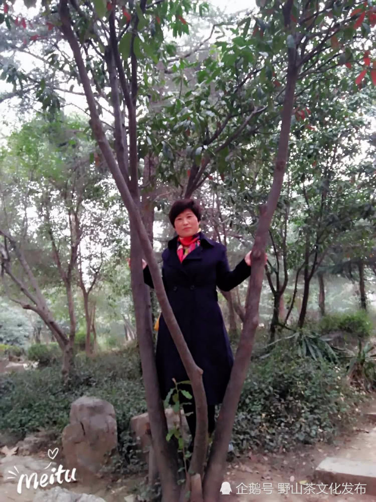 也说书香味:读书百遍,其意自现