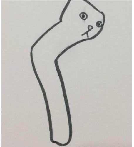 老师布置个任务回家花猫,收上来的作业让人哭笑不得