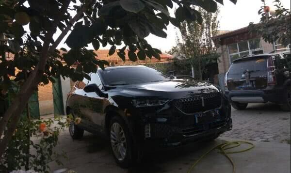 为国人争光，颜值帅过奥迪Q7，不足17万，买汉兰达真后！