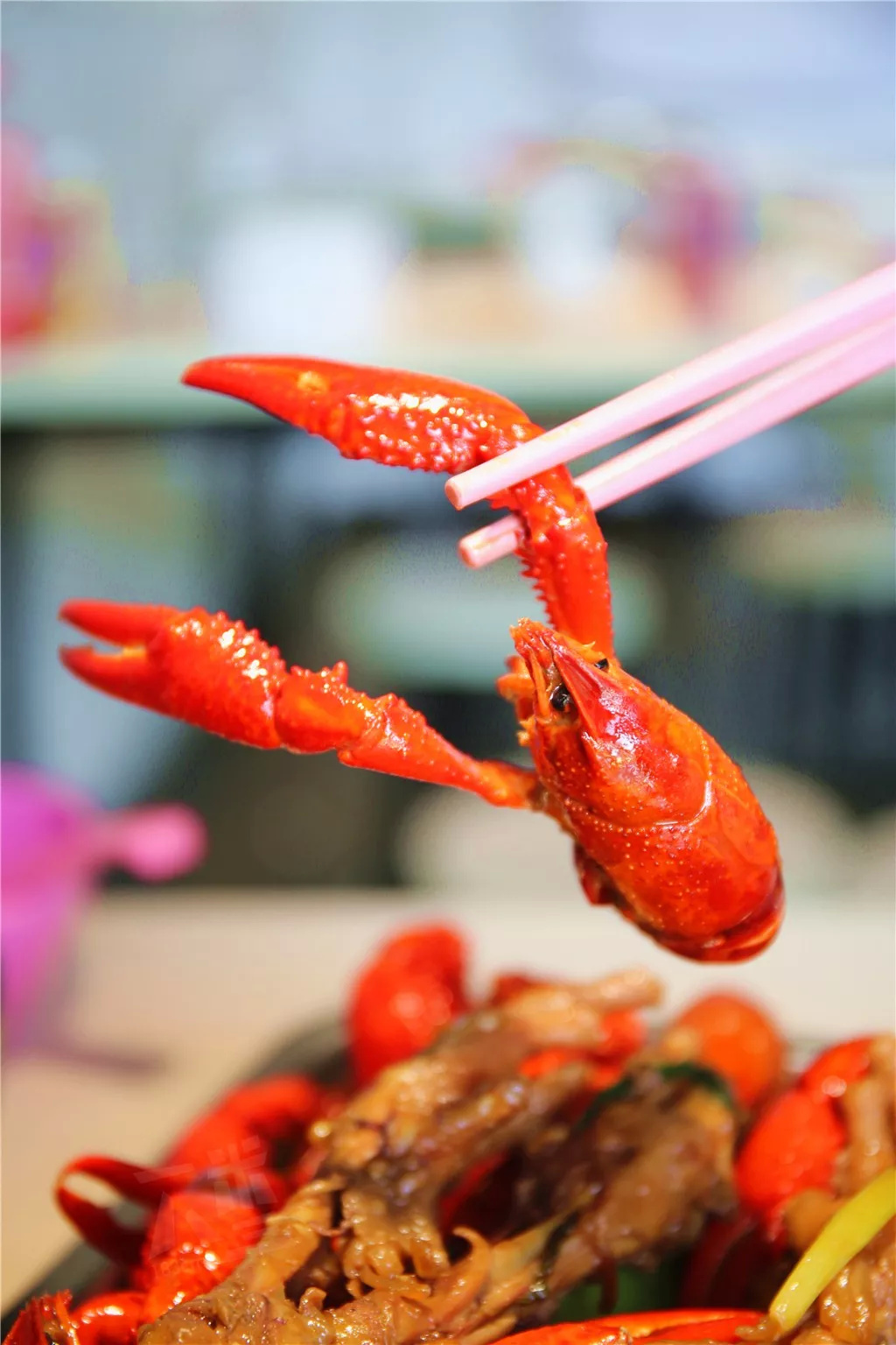 新鲜劲儿 新浪网