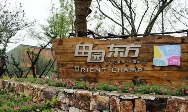 美丽乡村规划设计案例展示 - 无锡阳山田园东方