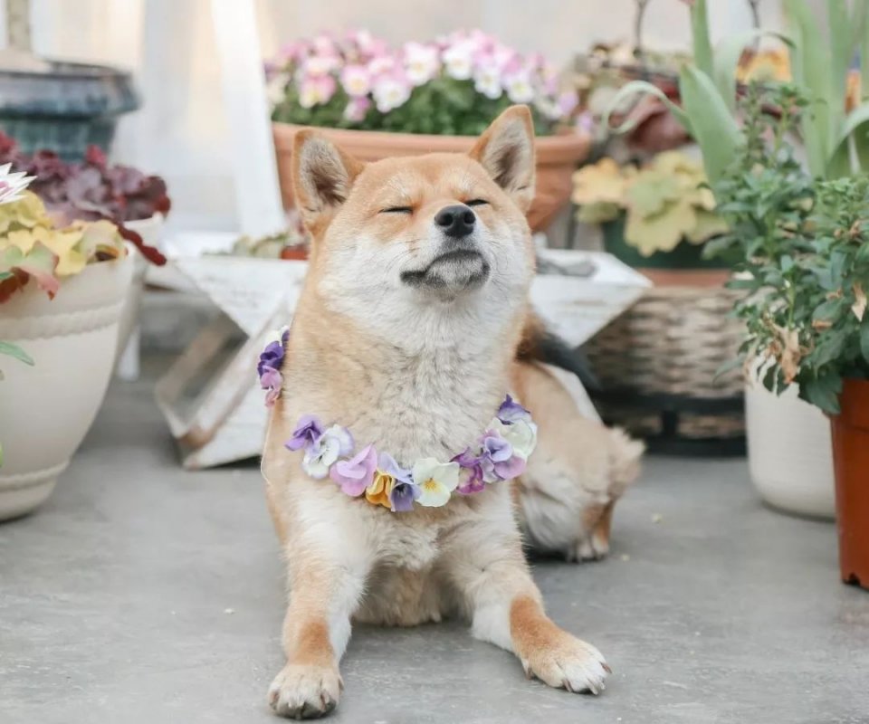 一家三口,住6000平米的房,美爆了!