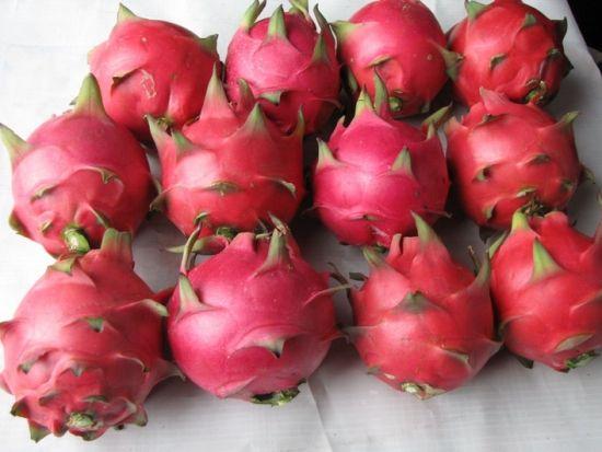 西瓜、火龙果、草莓这些常见水果怎么挑?资深