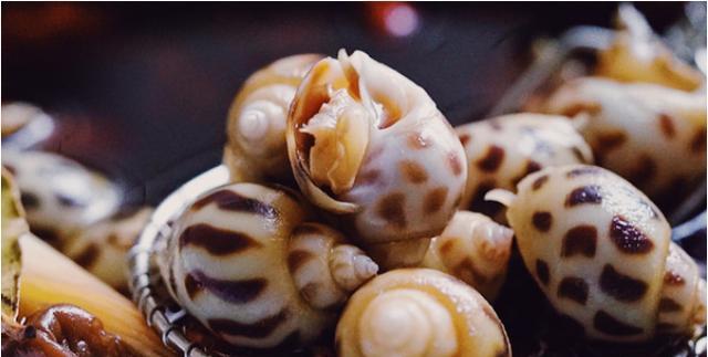 朋友聚会,最适合的一道花螺菜色香味俱全!醉、卤、白灼、盐焗等