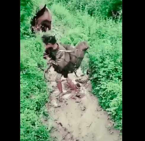 暑假山里娃如何度过? 手拉马匹、赤脚踩泥地,