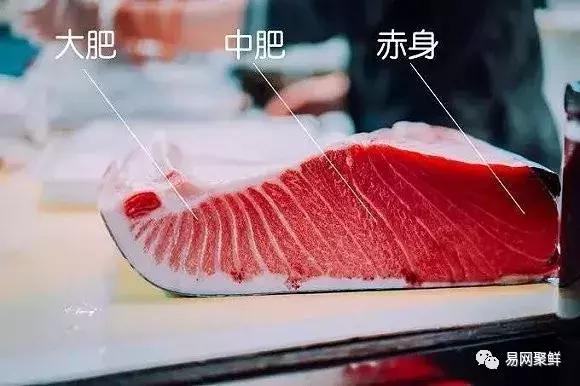 博鱼体育- 博鱼体育官方网站- 最新网址塞拉利昂国家概况