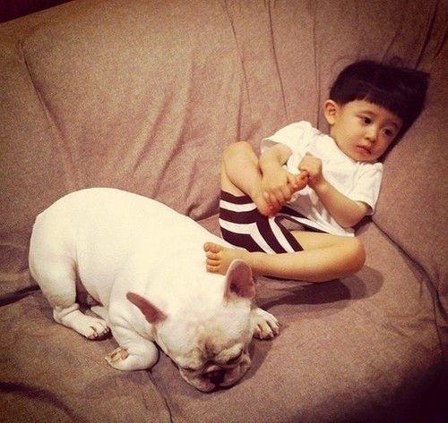 养狗的亲才会懂,夏天家里味臭多虫