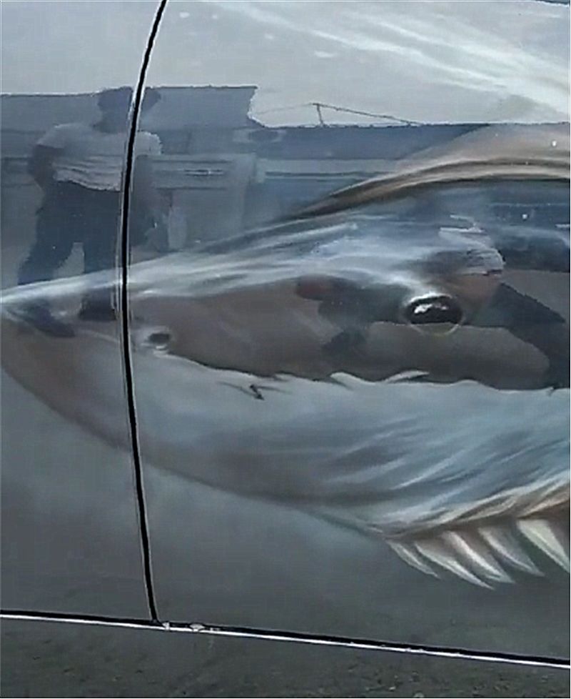 偶遇蓝色宝马3系，本不会注意，但侧面“鲨鱼”贴纸实在太吸睛！