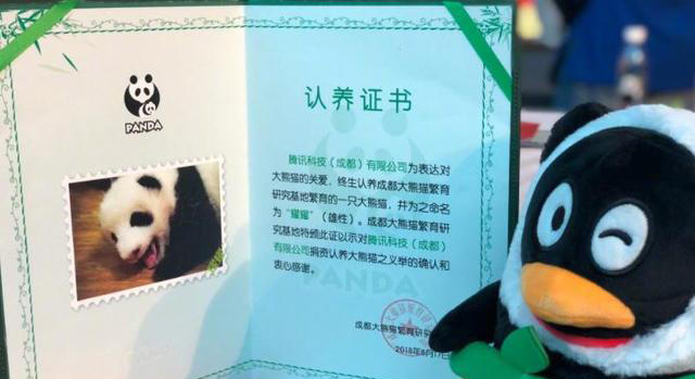 梦琪新皮肤原画曝光,非常值得看的一篇文章