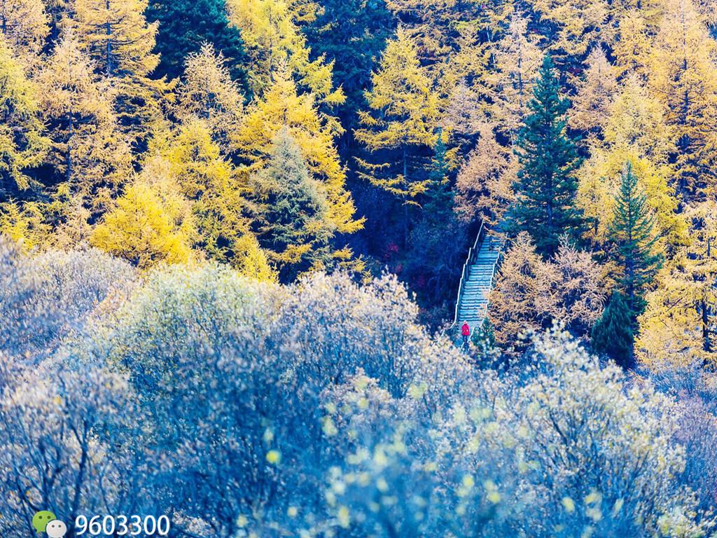 成都自驾稻城亚丁几月去最好? (附公里数)