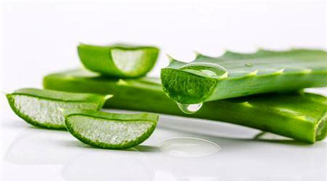 每天用于美容的芦荟你吃过吗?天然美容食材芦