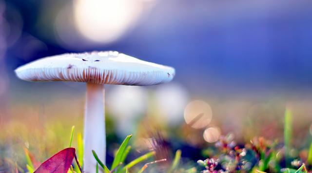 三观不同,真的不要勉强在一起!