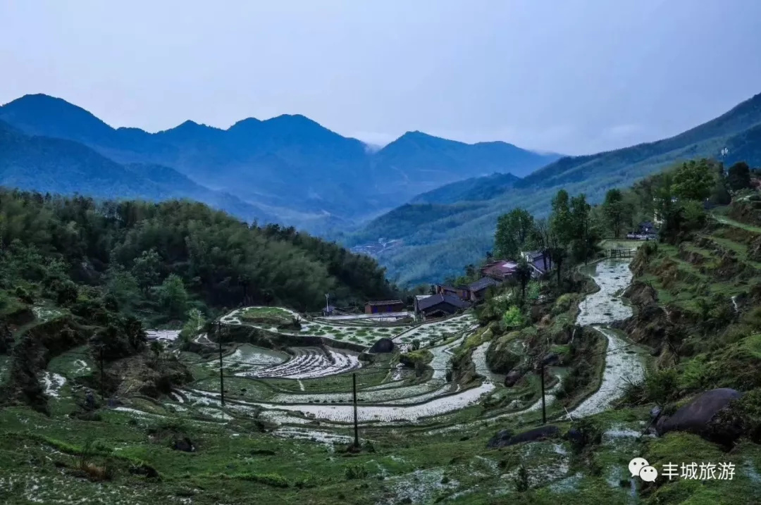 丰城|桃花谷|五一