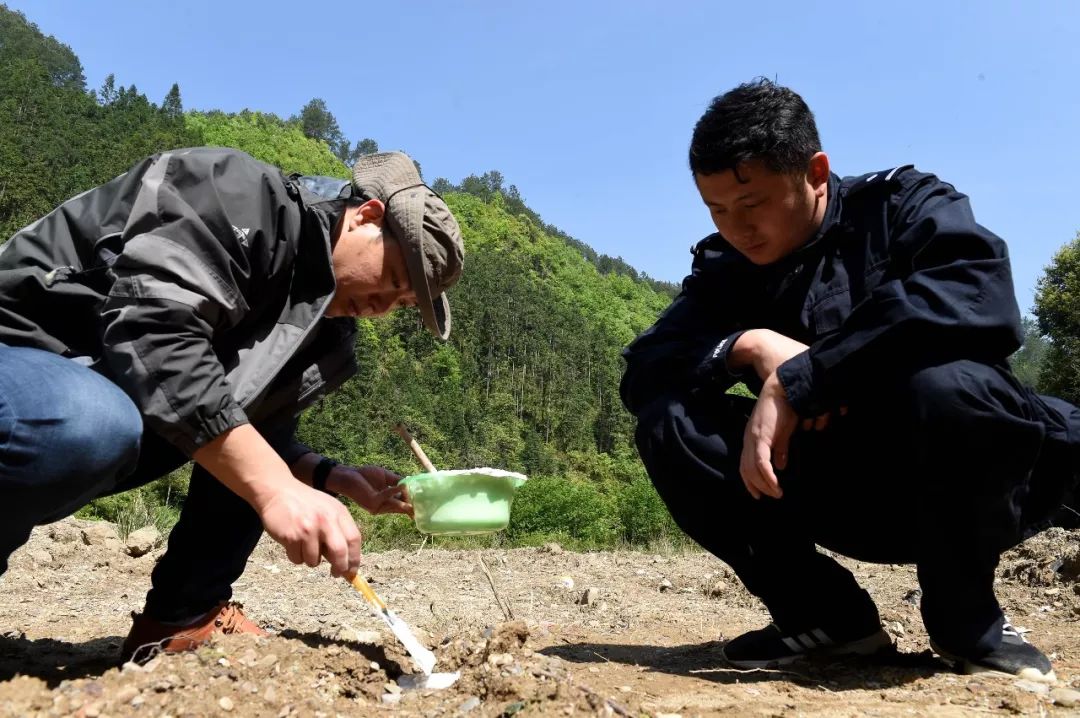 贵州省台江县一河边发现疑似猫科动物大型动物脚印