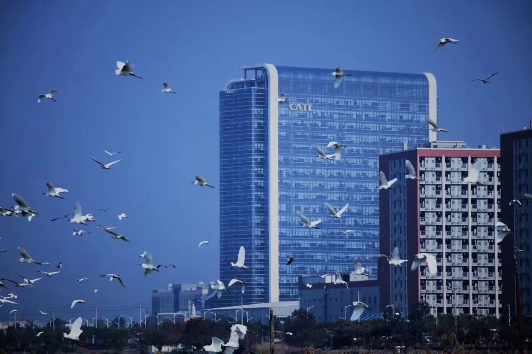 宁德时代的饭碗,不是谁都端得来