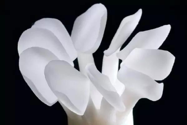 成都爱威白牙科解析:全瓷牙,烤瓷牙,牙贴面价格