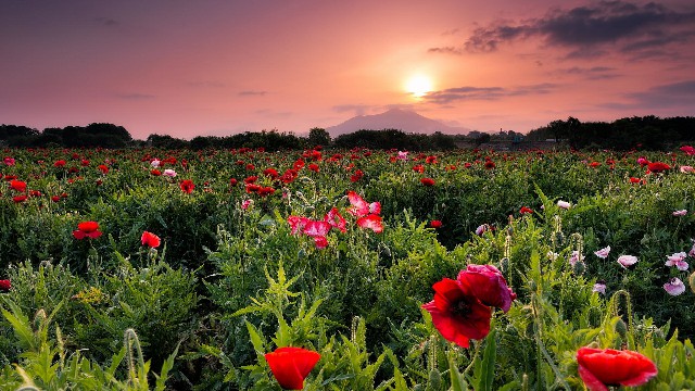 外表大大咧咧很强大,可内心却极度敏感的几大