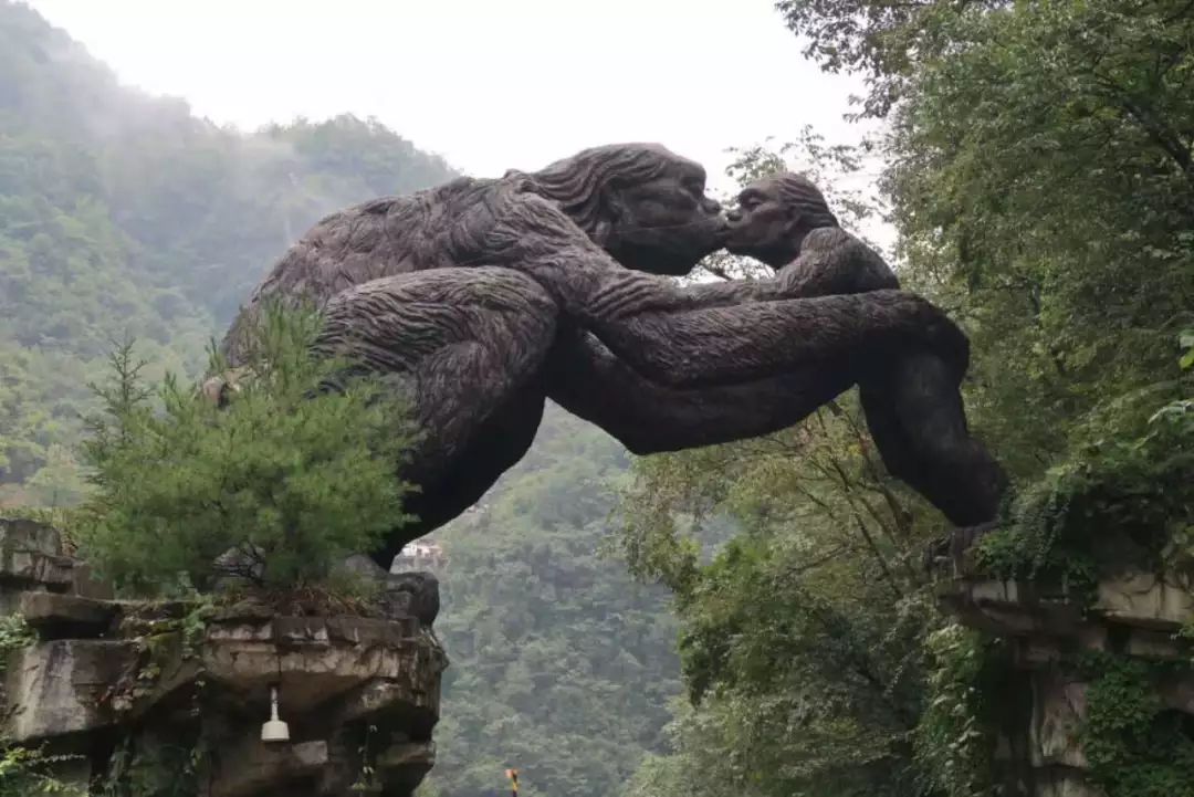 ���μǡ������ɾ���ũ��