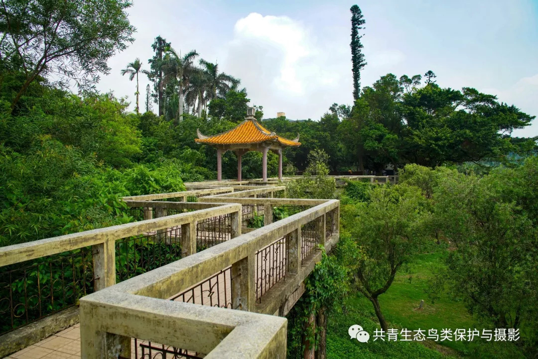 湛江市雷州乌石镇和湛江湖光岩