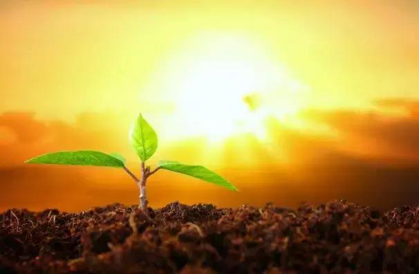 父母套路很深是种什么体验?