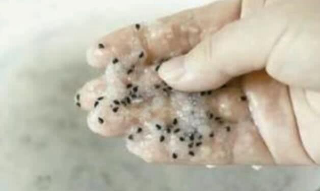 还在傻傻的买1斤8块的火龙果吗?三步让你长满