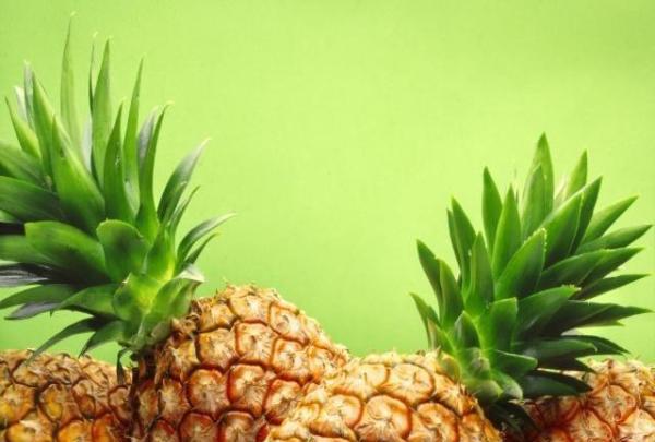 你家孩子易积食便秘吗?四种常见促消化食物,通