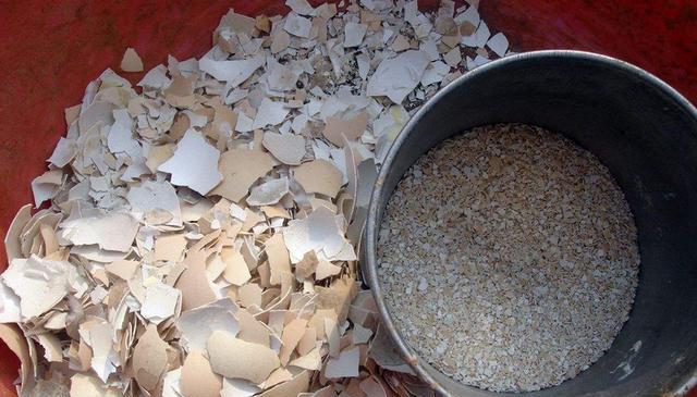 鸡蛋壳养花，这几种用途太实用了!