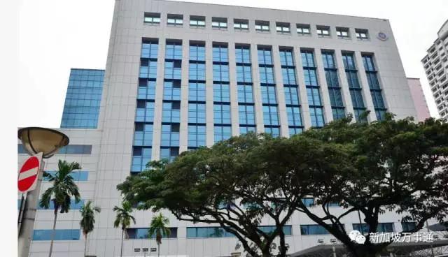 你的新加坡PR、公民还没批?肯定是遇到了这些