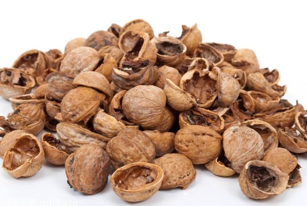 还把核桃壳当垃圾扔掉吗?想不到它还有4大药用价值