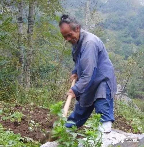 图为终南山一个隐士正在给自己种植的庄稼除草,这种田园生活是多少人